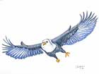 Colour Pencil drawing of a blue eagle