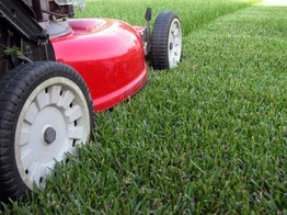 close-up of a lawnmower cutting green grass